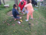 IMG_6148 (Large)