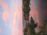 IMG_6200 (Large)