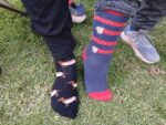 comparing dachy socks
