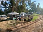IMG-20260213-WA0027