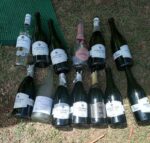 IMG-20260214-WA0041