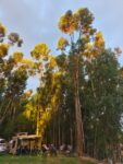 IMG-20260215-WA0016