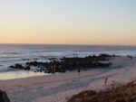 IMG_6238 (Large)